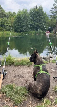 Stolpkanal (Rüdersdorf)-1