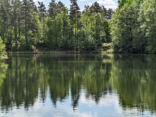 Vierhöfen (ASV Harburg-Wilhemsburg)-3