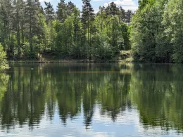 Vierhöfen (ASV Harburg-Wilhemsburg)-3