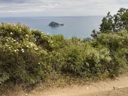 Mittelmeer (Albenga)-1