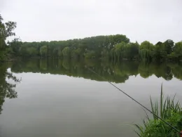 Karpfenteiche Französisch Buchholz-3