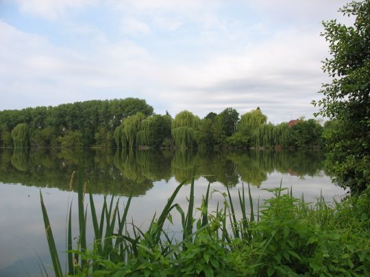 Karpfenteiche Französisch Buchholz-4