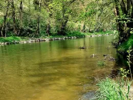 Werra (Wernshausen)-1