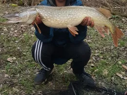 Rednitz (Reichelsdorf-Katzwang)-1