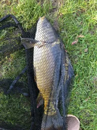 Rednitz (Reichelsdorf-Katzwang)-2