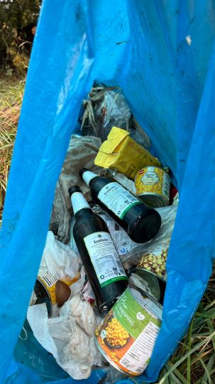 Erdkuhle Rothensee-3