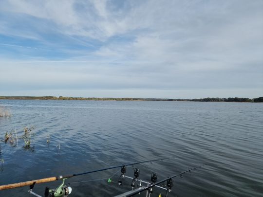 Großer Sternberger See angeln