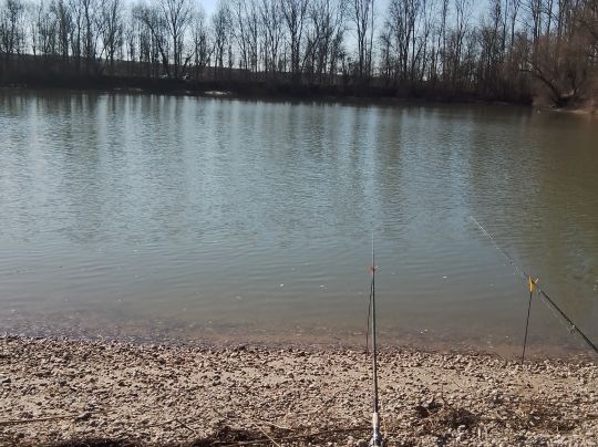 Neuer Hafen Speyer-1