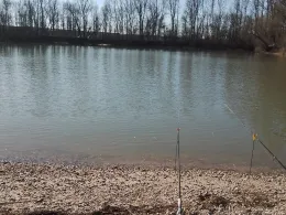 Neuer Hafen Speyer-1