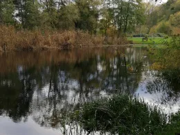Mühlenteich (Klein Teetzleben)