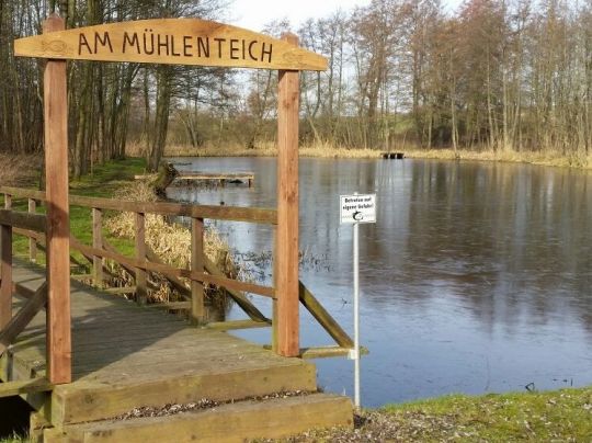 Mühlenteich (Klein Teetzleben)-3