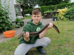 Mühlenteich (Klein Teetzleben)-2