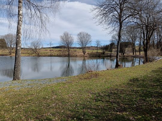 Fiedlerteiche (Teuschnitz)-2