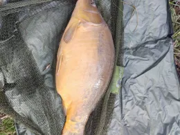 Ablacher See (Lutzsee)-2