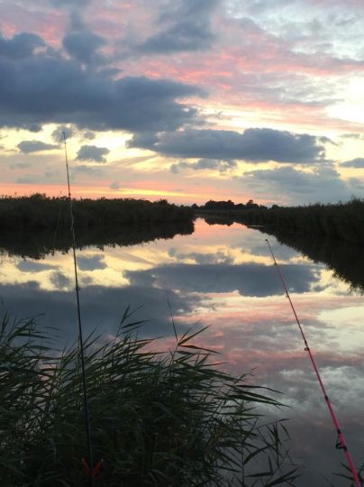 Angeln in Norderfriedrichskoog