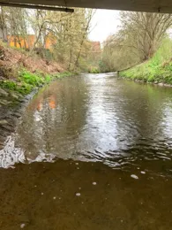 Körsch (Esslingen)-3