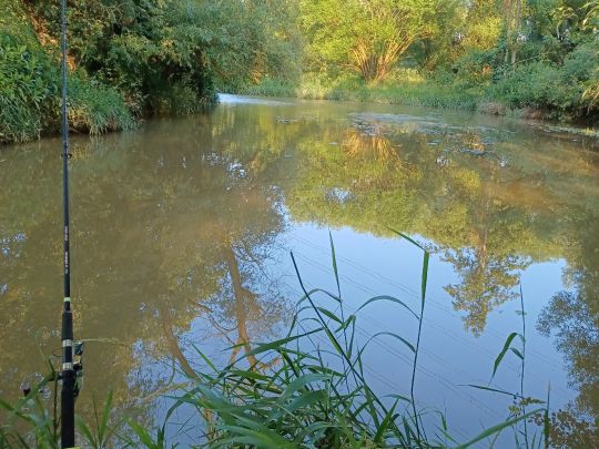 Kollbach (Münchsdorf)-2