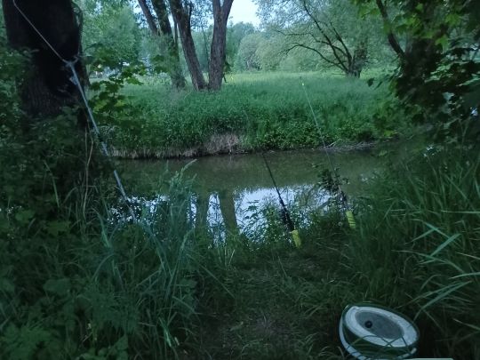 Kollbach (Münchsdorf)-3