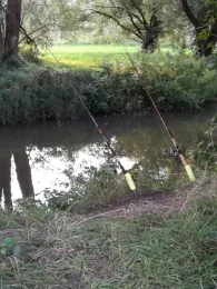 Kollbach (Münchsdorf)-1