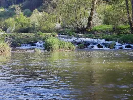 Kocher (Sindringen)-4