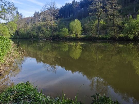 Kocher (Sindringen)-1