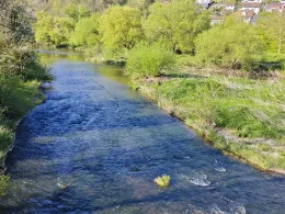 Kocher (Sindringen)-2