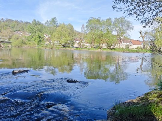 Kocher (Sindringen)-3