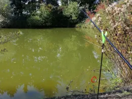 Teichanlage Germerswang