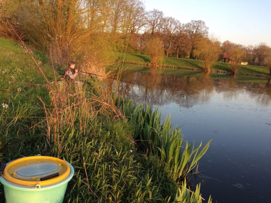 Auebucht (Espelkamp)