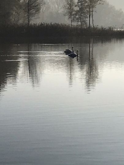 Ruschweiler See