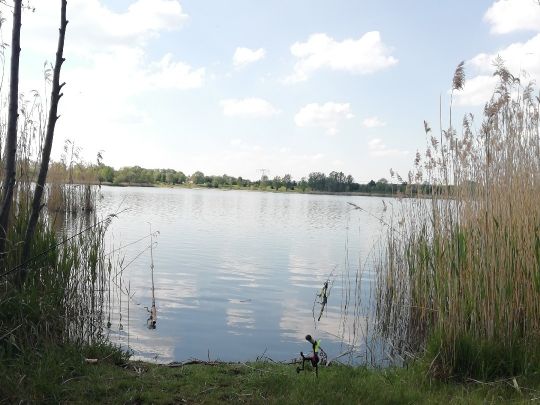 Landschaftssee Großstolpen angeln