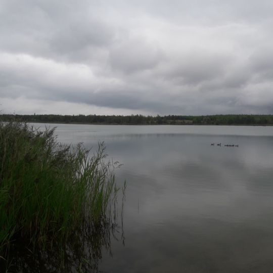 Landschaftssee Großstolpen-3