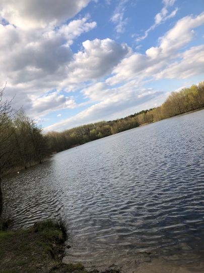 Werresiek (Waddenhauser See)-1