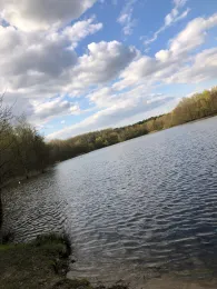 Werresiek (Waddenhauser See)-1