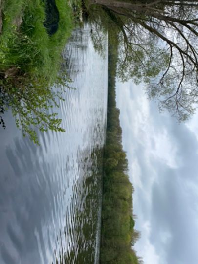 Werresiek (Waddenhauser See)-4
