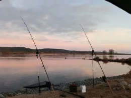 Oder (Oderaue/Neurüdnitz)