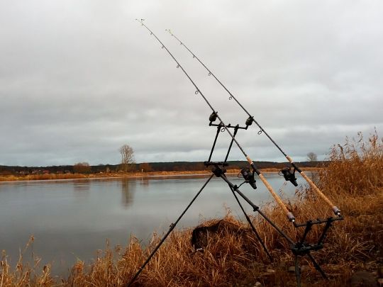 Oder (Oderaue/Neurüdnitz)-2