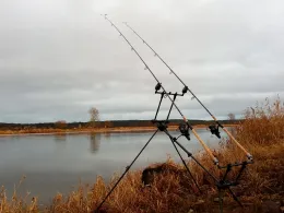 Oder (Oderaue/Neurüdnitz)-3