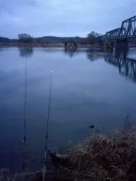 Oder (Oderaue/Neurüdnitz)-1