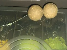 Schloßteich Wittringen