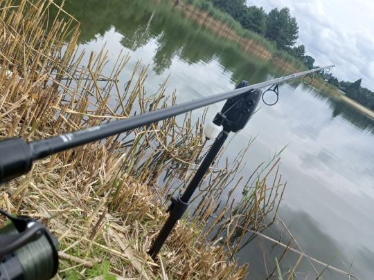 Neues Bad (Jessen)-4