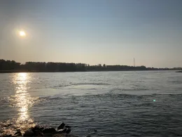 Rhein (Zons)-2