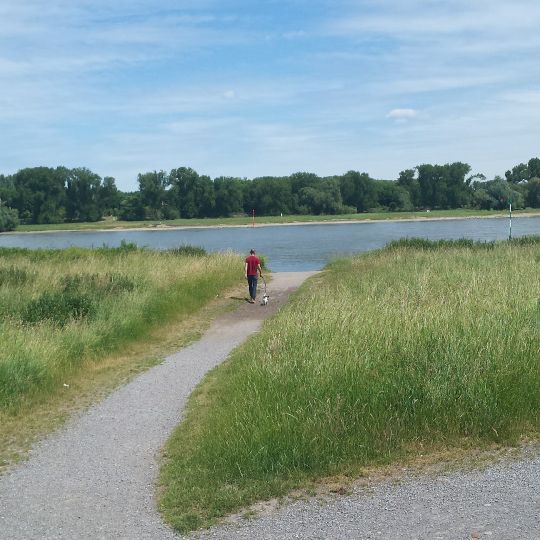 Rhein (Zons)