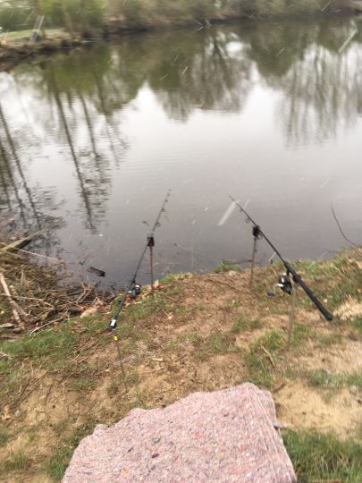 Schweinesee (Ahaus)-4