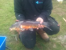 Schweinesee (Ahaus)-3