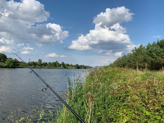 Elbe-Havel-Kanal (Burg) angeln