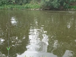 Saale (Naumburg/Saale)-1