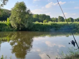 Saale (Naumburg/Saale)