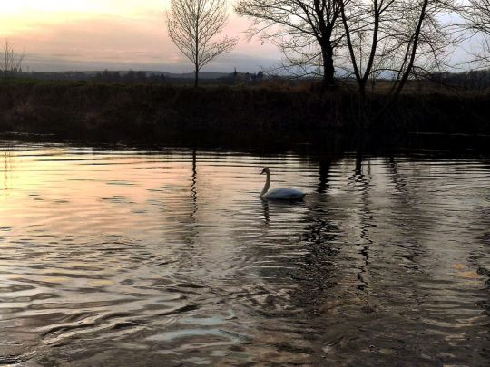 Saale (Naumburg/Saale)-4