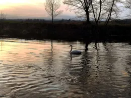 Saale (Naumburg/Saale)-4